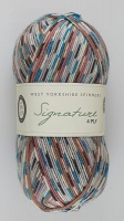 WYS - Signature 4 Ply - Country Birds - 1167 Jay